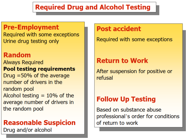Drug And Alcohol Testing Program Requirements